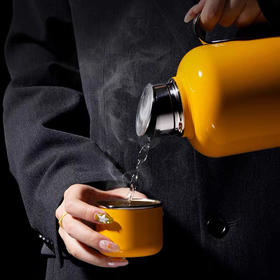 焖茶壶 ｜尚明焖茶壶 老白茶陈皮养生茶钛焖泡茶壶 600ml