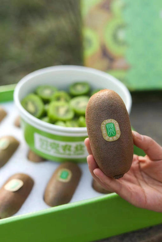 长柄金福猕猴桃🥝，香味浓郁，纯甜 商品图1