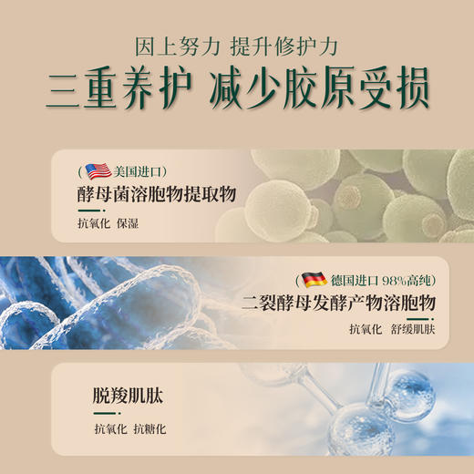 【抗皱紧致28天15效】纯素素僖酵母菌溶胞物紧致面膜（买面膜赠送1四季款小面霜(5g)+1面膜片） 商品图2