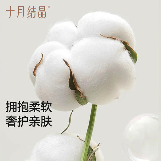 全棉水洗棉枕套家用纯棉枕头套外出单个内胆套2025新款 商品图1