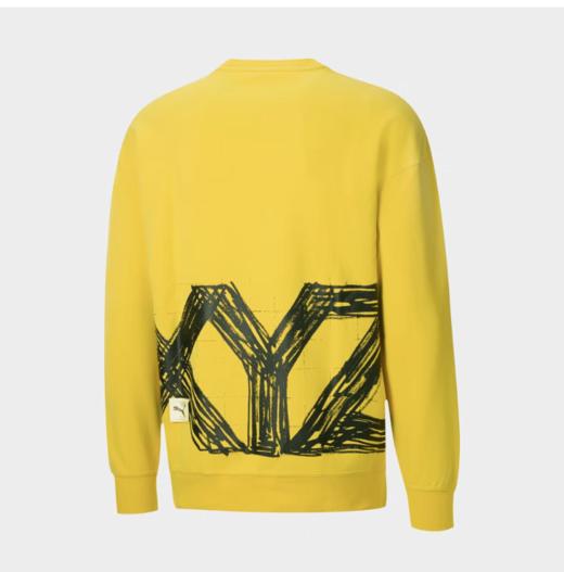 彪马 79.9元 卫衣 522116-KD（限时一口价线上线下同时售卖 不保证有货 活动款不退不换 介意勿拍 ） 商品图1