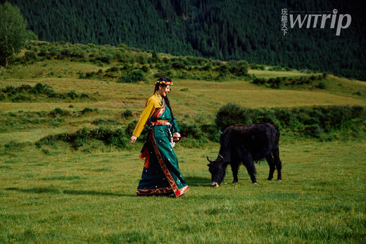 黄梦莹 X WITrip 寻光漫记 聆听果洛的自然之声 商品图2