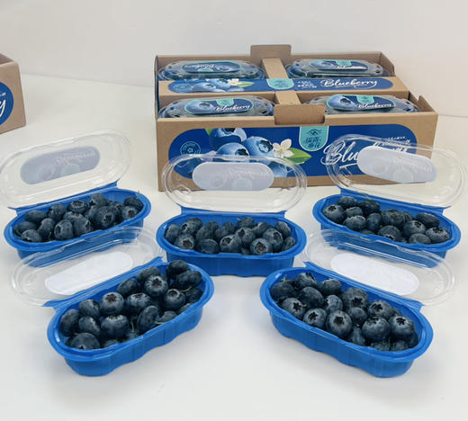 云南钻石蓝莓🫐，纯甜、个大、果粉足 商品图5