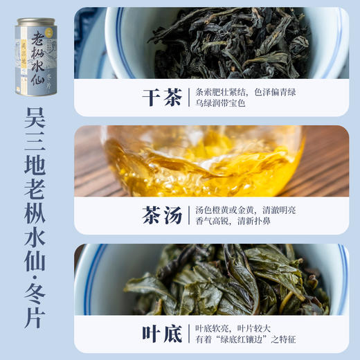 2025冬片合集冬片吴三地老枞水仙 商品图4