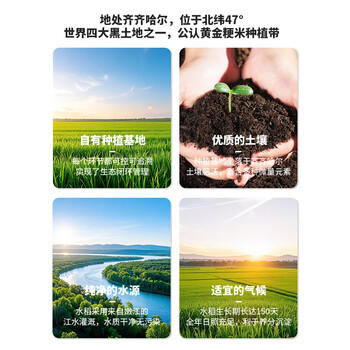 花中花 长粒香米 20斤 东北大米 黑龙江大米 一级粳米当季新米真空包装 /粮油调味 /米 /长粒香米 商品图4