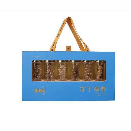 鑫玉龙冻干海参6头礼盒装（净重1.5g*6只）/盒 商品图0