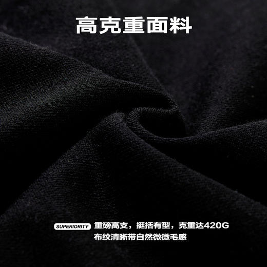 NPC潮牌花卉藤蔓字母刺绣圆领卫衣高克重宽松休闲男潮流NP41ST24 商品图4