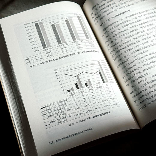 基于中介语语料库的留学生汉语学习偏误研究 祁峰 商品图13