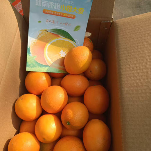 【赣南脐橙纯甜橙】同款随机发， 基本无酸 橙香很浓❗汁水嘎嘎多💦天然果汁饮料 富含维C 商品图7