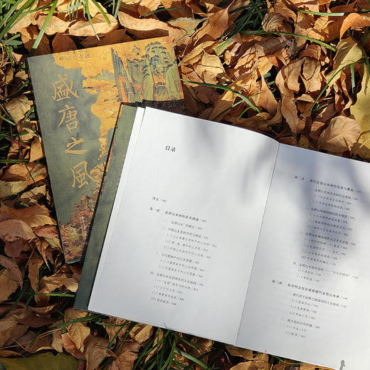 盛唐之风：金碧山水画五讲（钤印版） 商品图2