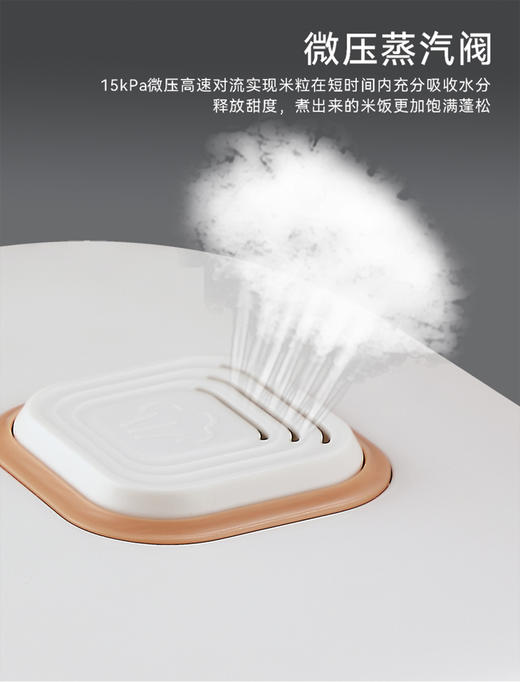 艾贝丽智能电饭煲ABL-FBZ31 商品图9
