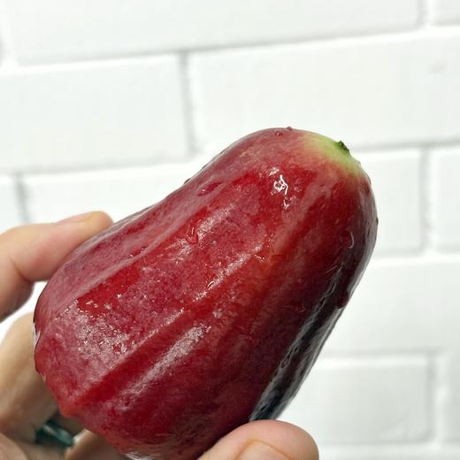 【海南黑金刚莲雾】被誉为树上“矿泉水”，新鲜空运，汁水丰盈，咀嚼间感觉像在喝味甜的水，特别舒爽入喉。净重约3斤/箱，江浙沪皖顺丰包邮~ 商品图1