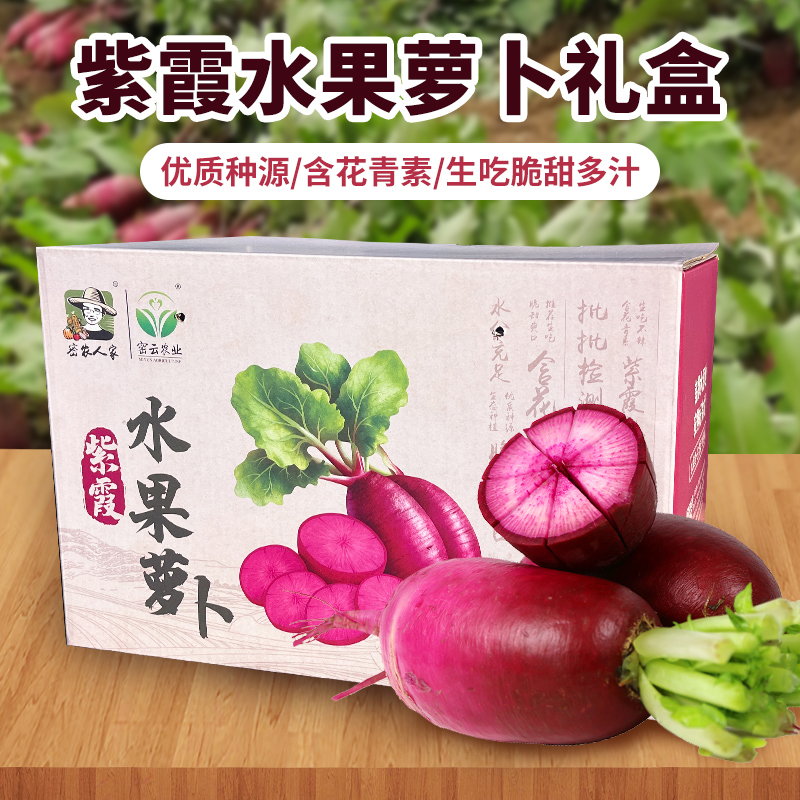 【送礼必备】密农人家精品紫霞水果萝卜礼盒 脆甜多汁 含花青素   6斤以上