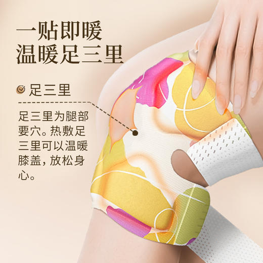 雷允上·艾草暖膝贴3盒共18贴 商品图1