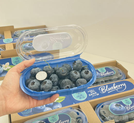 云南钻石蓝莓🫐，纯甜、个大、果粉足 商品图0