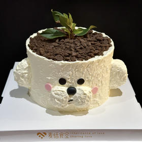 小狗盆栽（翻糖提前1天预定）需自提，叶子随机