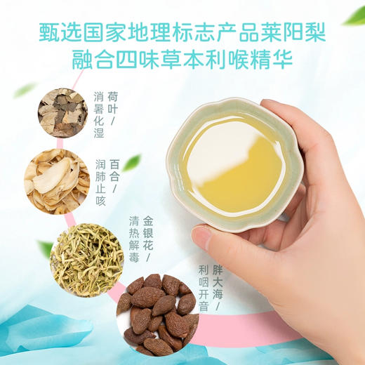 一枝笔莱阳梨汁245ml 商品图4