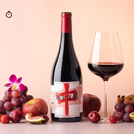 企鹅市集|中国宁夏天得龙驿酒庄 赤霞珠混酿干红葡萄酒 合家欢首选 少见陶罐陈酿 商品图2
