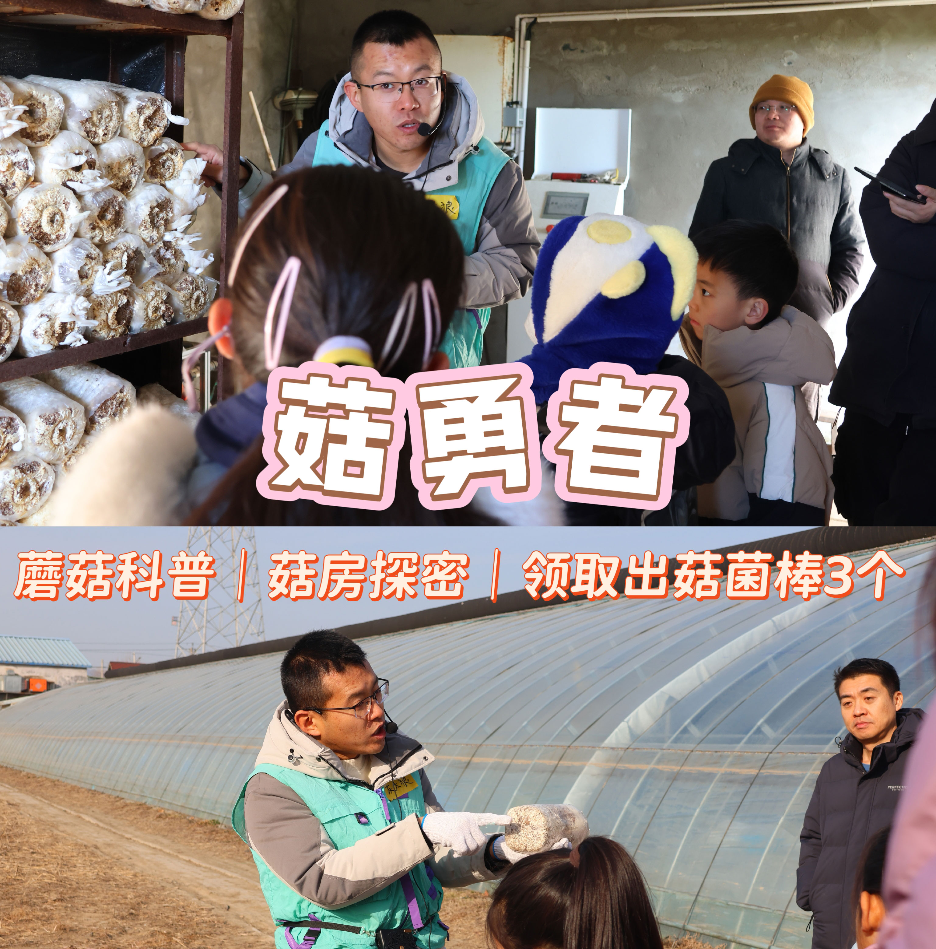 【半日营·12月21日-2026年2月23日】菇勇者！蘑菇科普、领养蘑菇菌棒、喂小动物赏多肉、公益时长2小时