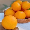爱媛果冻橙 商品缩略图1