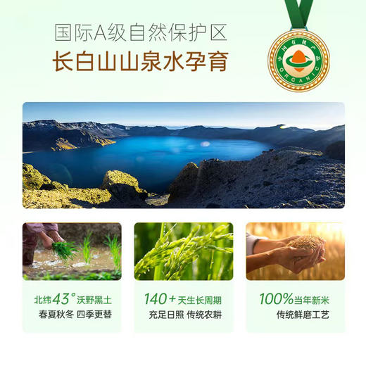 长白山营养粥米500克 商品图1