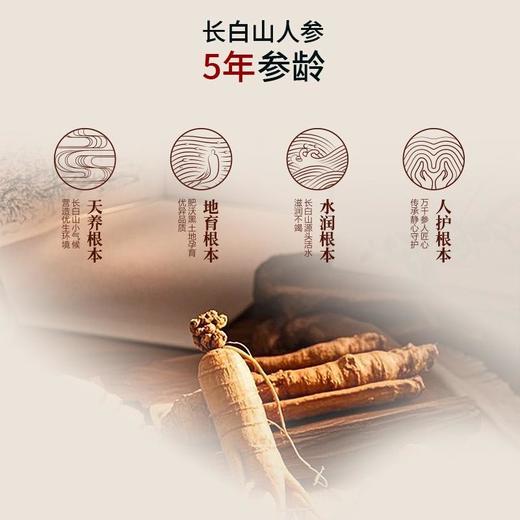 【顺丰包邮】康植元红参大枣浆 商品图3