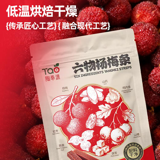 陶奉源六物杨梅条 95克/包   鲜果熬制，健康无添加 商品图1
