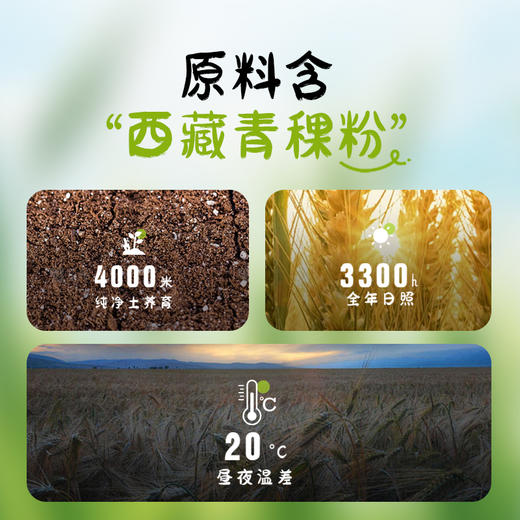 青稞奶酪爆米花 | 配料干净 非油炸 好吃不上火 好吃无负担  高纤维 甄选“西藏优质青稞” 大人小孩都爱吃 商品图2