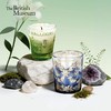 大英博物馆 博物志系列-蝶恋花 热气球系列-清香绿 香氛蜡烛 商品缩略图0