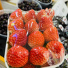 【丹东99草莓】明星产品，一定要尝一尝，娇艳欲滴，草莓娇嫩，部分果子有磕碰属正常现象，请勿介意 商品缩略图5