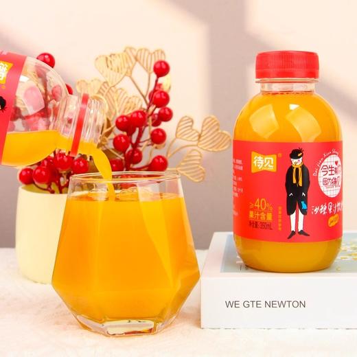 PET标箱沙棘汁350ml*10 商品图2