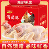清远鸡礼盒B款清远鸡1.1kg*2只（冷冻生鲜类商品不退，质量问题只换） 商品缩略图2