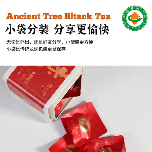 有机古树茶（赤霞晒红）96g/罐 商品图4