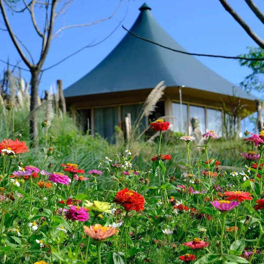 3天2晚【康藤·滇越铁路帐篷营地（人字桥）】2026全年可用，节假日不加价！享入住期间三餐美食、营地下午茶、营地短线徒步、甲马拓印体验等，深度体验藏于山林间的驿站！ 商品图4