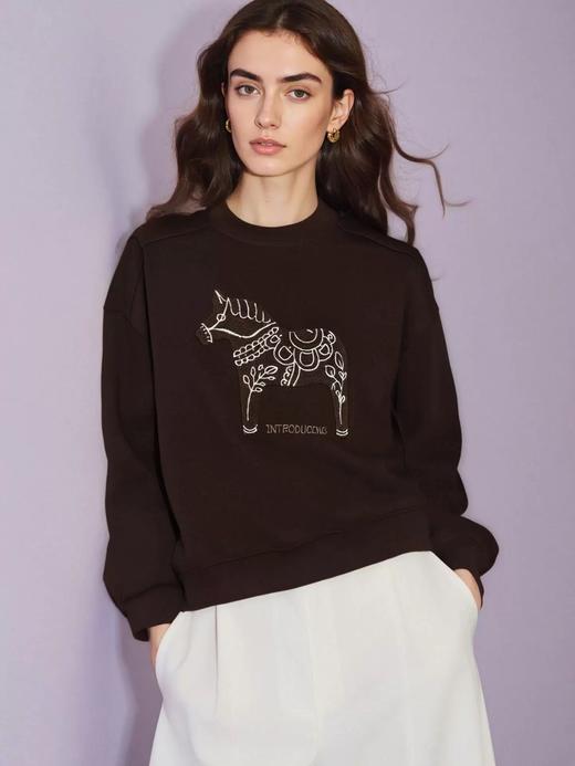 BI需安排上小马刺绣卫衣 商品图10