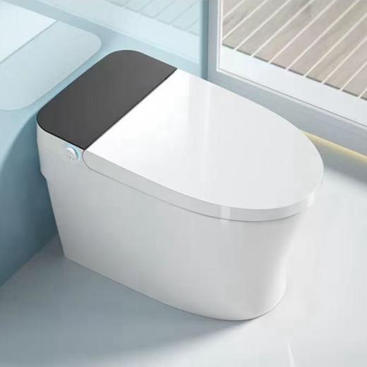 6294 K29AT轻智能马桶 商品图0