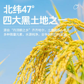 花中花 长粒香米 20斤 东北大米 黑龙江大米 一级粳米当季新米真空包装 /粮油调味 /米 /长粒香米 商品图8