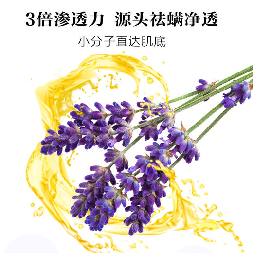 朵域精油   薰衣草味 商品图2