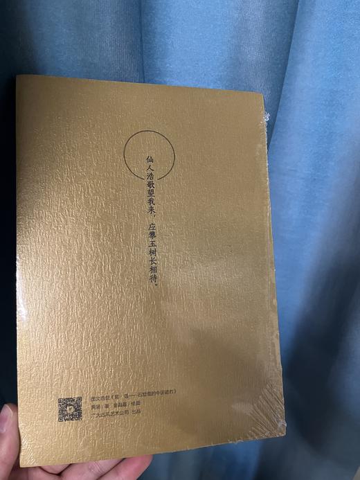 《我欲成仙》道教石窟线描图集 商品图1