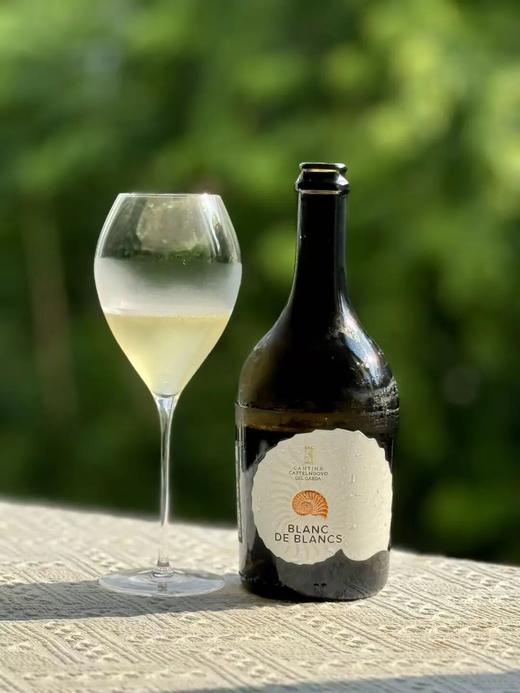 168喝白中白Blanc de Blancs起泡葡萄酒！ 商品图0