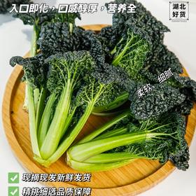 随州泡泡青【又叫皱叶黑白菜，这颗藏匿于荆楚大地之上的绿色瑰宝🌟】
