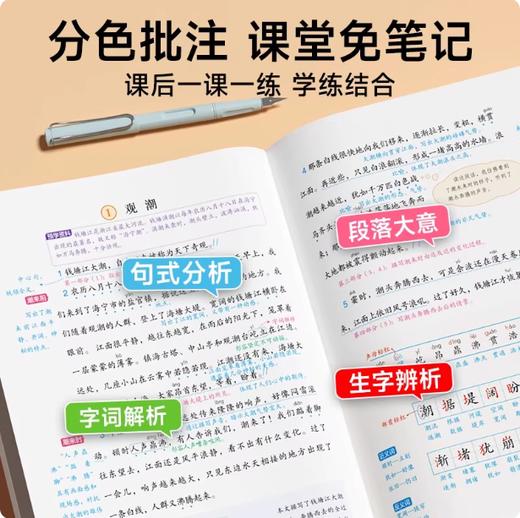 2026精解精练质优课堂笔记语文数学英语一二三四五六下册年级任选小学生教材全解课文全解 商品图3