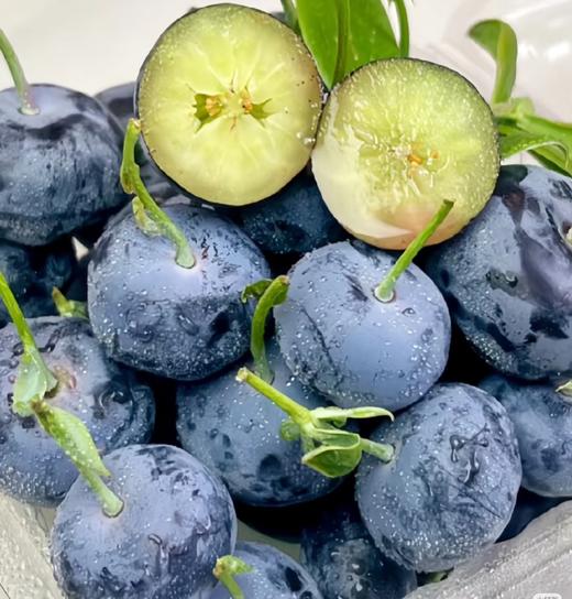 周六取货：【寻源季云南高山鲜蓝莓】一篮净重500克左右，新鲜，甜度高，汁水饱满，果肉细腻。 商品图0