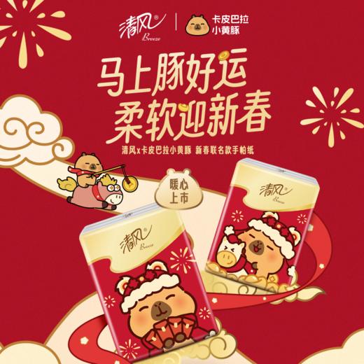 清风 马年限定款卡皮巴拉联名手帕纸4层5张30包 丝柔触感 48小时发货 商品图1