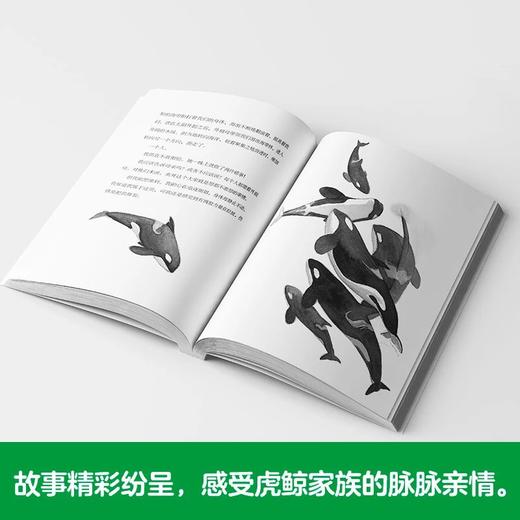 荒海里的鲸鱼 百班千人2026年寒假六年级课外阅读6年级名师推荐课外书必读正版授权大阅小森 商品图3