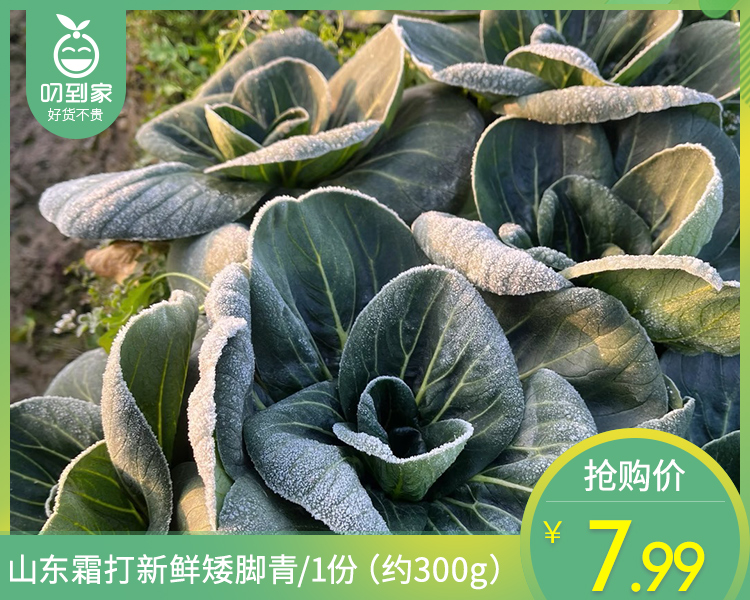 山东霜打新鲜矮脚青/1份（约300g）