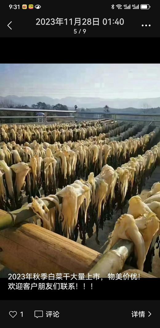 农家白菜干500克 商品图0