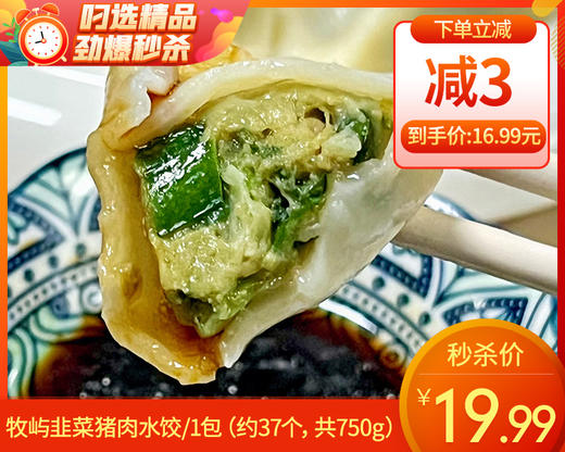 【预售-12月22日配送】牧屿韭菜猪肉水饺/1包（约37个，共750g）生产日期：25年12月 商品图0