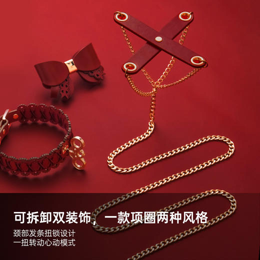 纵锦浪里发条项圈主奴牵引支配调教玩具哥特复古cos情趣道具 商品图2