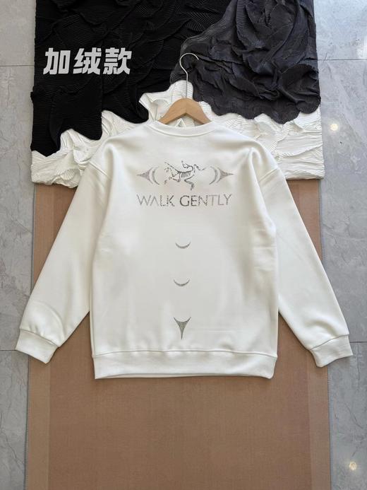 D121625冬季新款印花logo加绒圆领长袖卫衣男女同款 商品图3